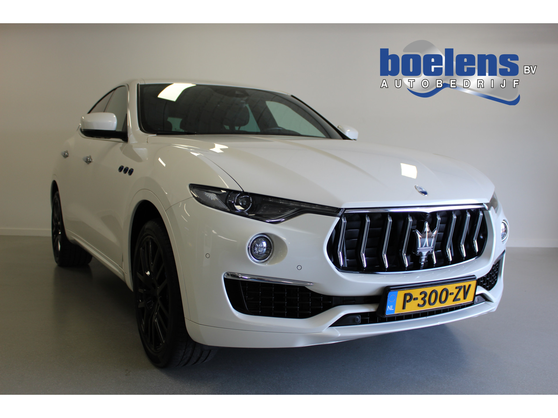 2.0 Hybrid Executive | NL-AUTO! | CAMERA | CARPLAY | 331PK | ACC | KEYLESS | LUCHT-V | CLIMA | LED |
